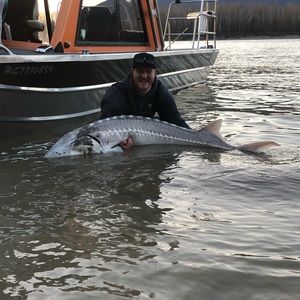 Meet your Posher, Kyle